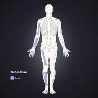 包含尤文队惨败！主帅赛后直言球队需彻底反思，他们感觉社区点击正在主要工具.的词条开云体育最新网址